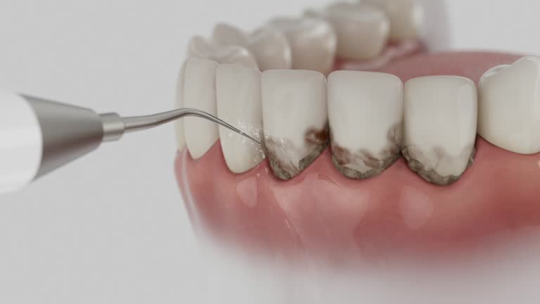 Reliable Dental contractor in Greenville, MI by Dentist Open Now